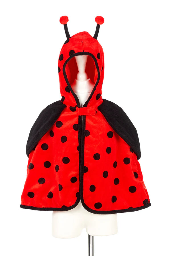 Layla Coccinelle
