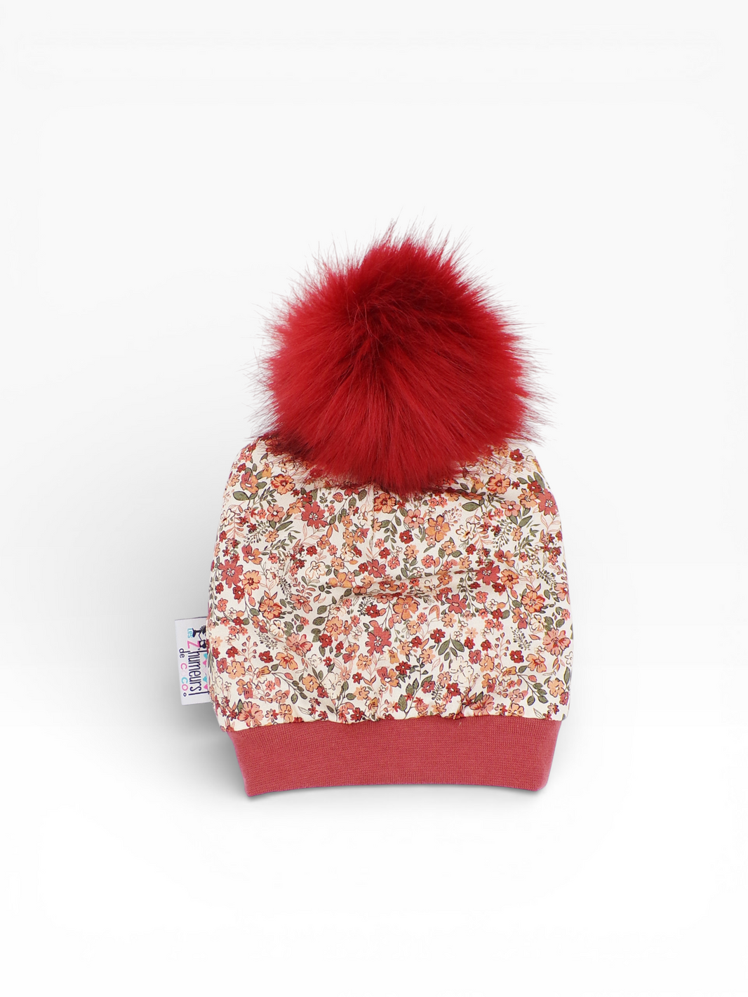 Bonnet pompon Hiver