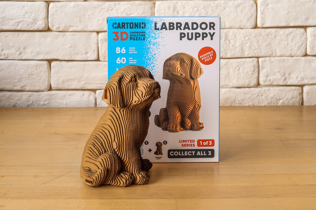 Labrador Welpe – 3D Puzzle aus Karton