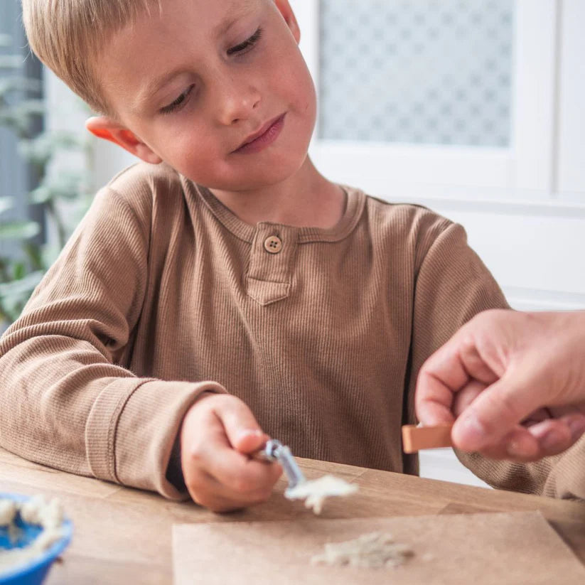 Contruit poulailler - Teifoc