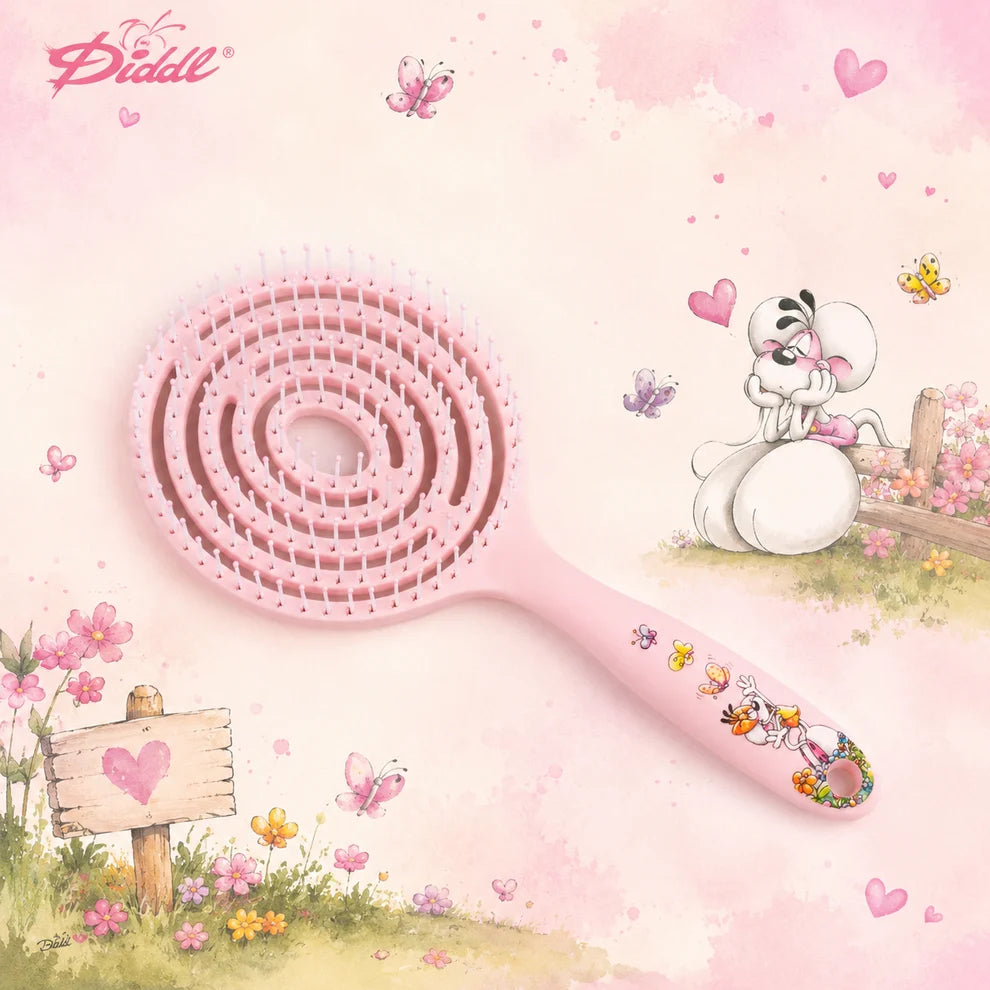 Brosse à cheveux Diddl