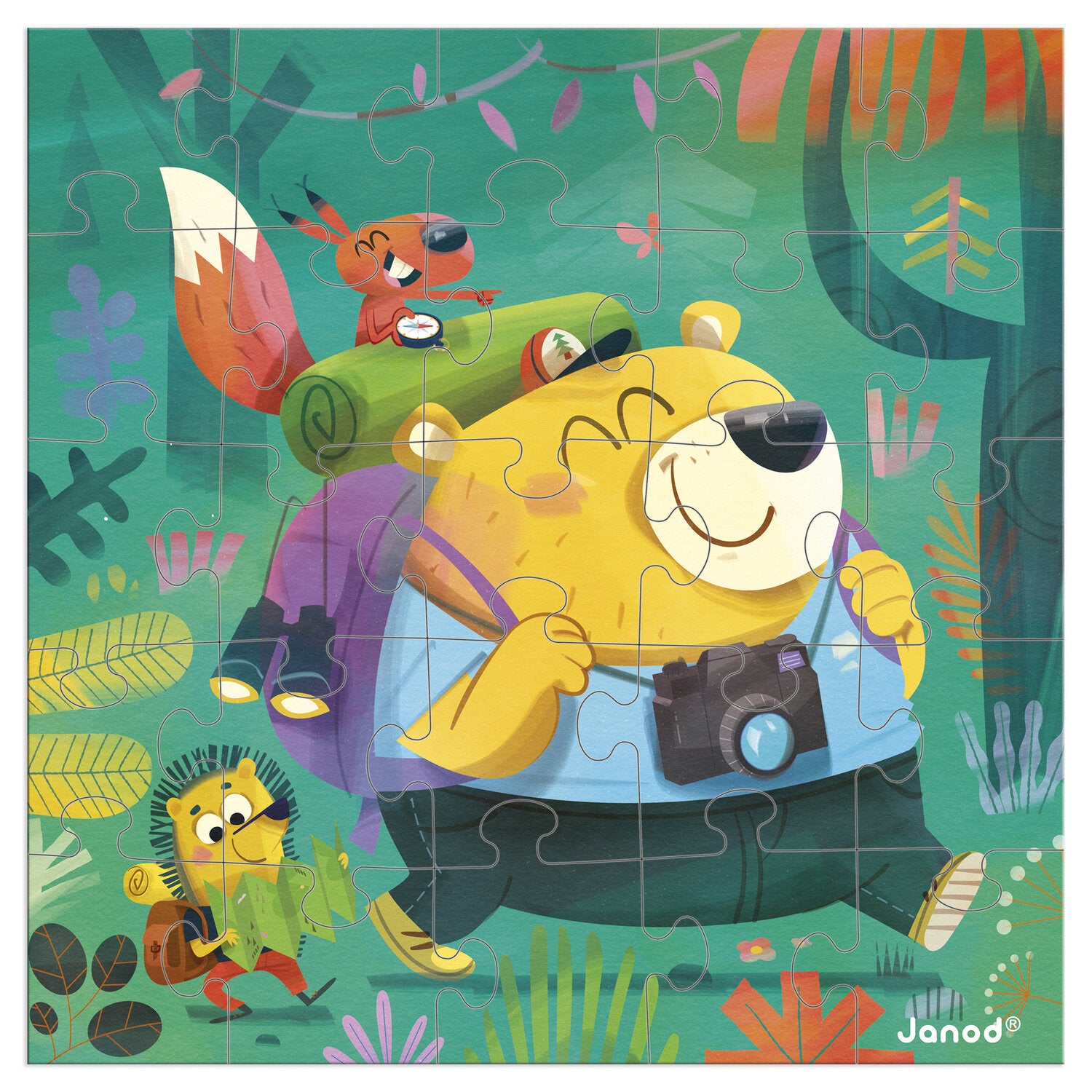 Carte puzzle randonnée