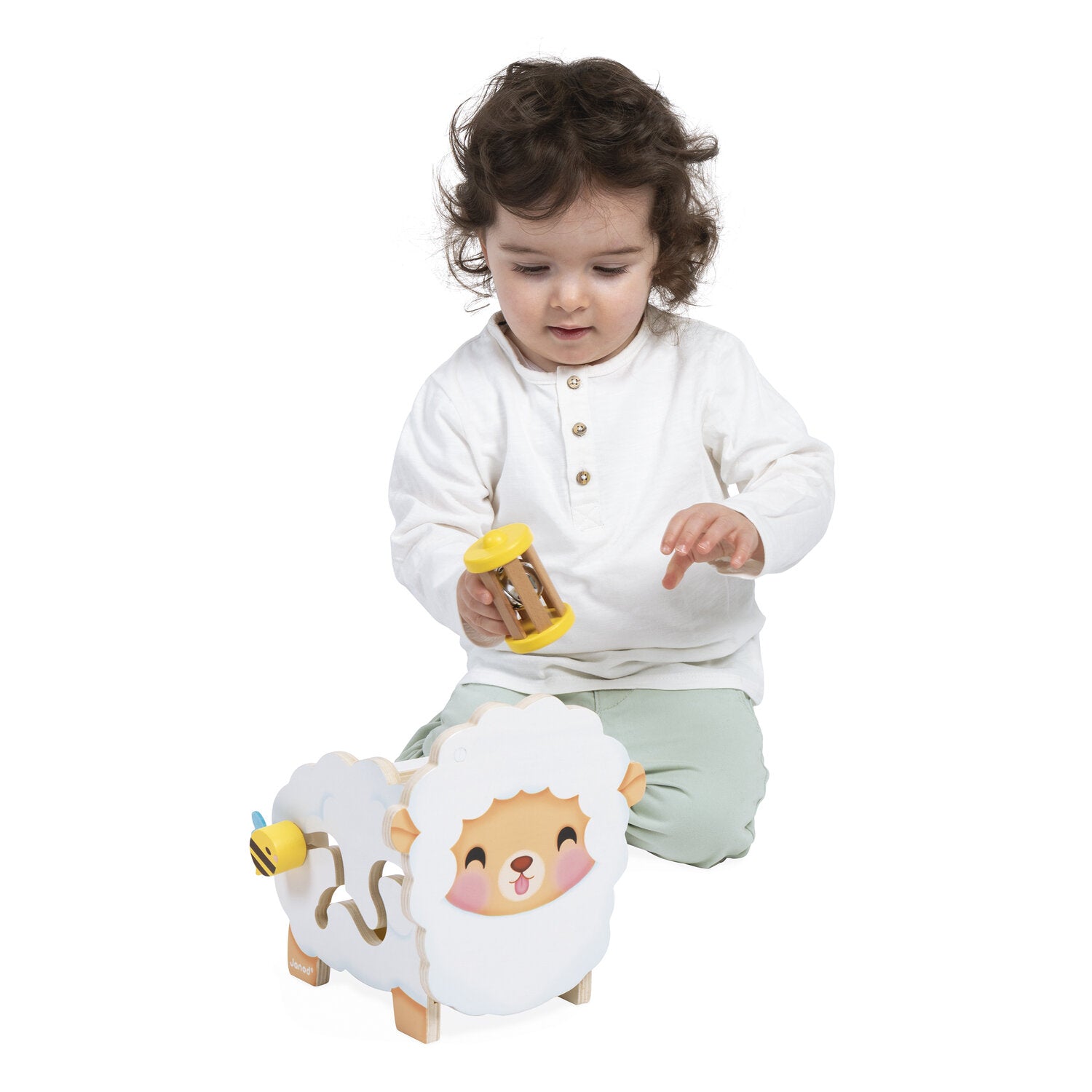 Mouton multi-activités