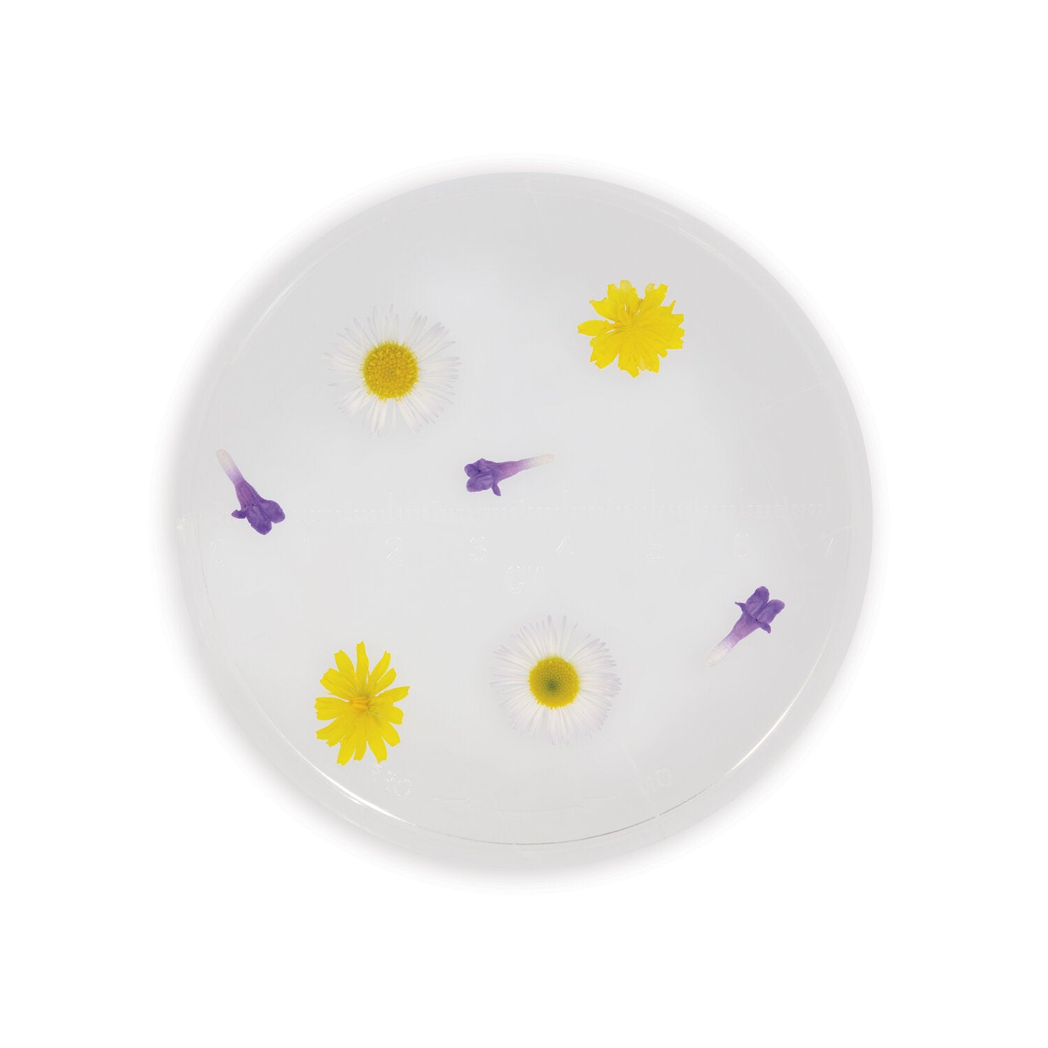 Verre d'observation - Exploration