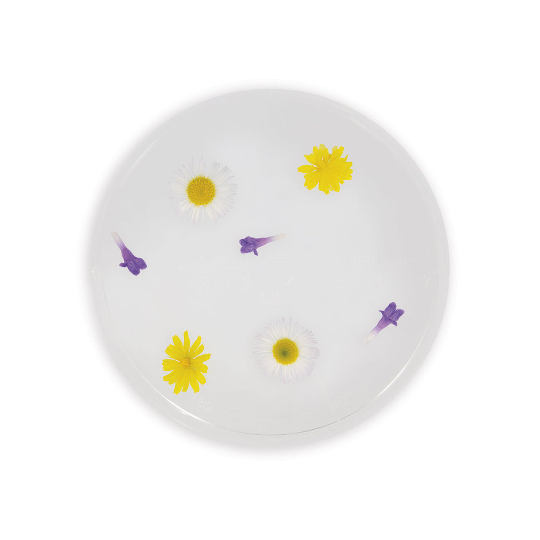 Verre d'observation - Exploration