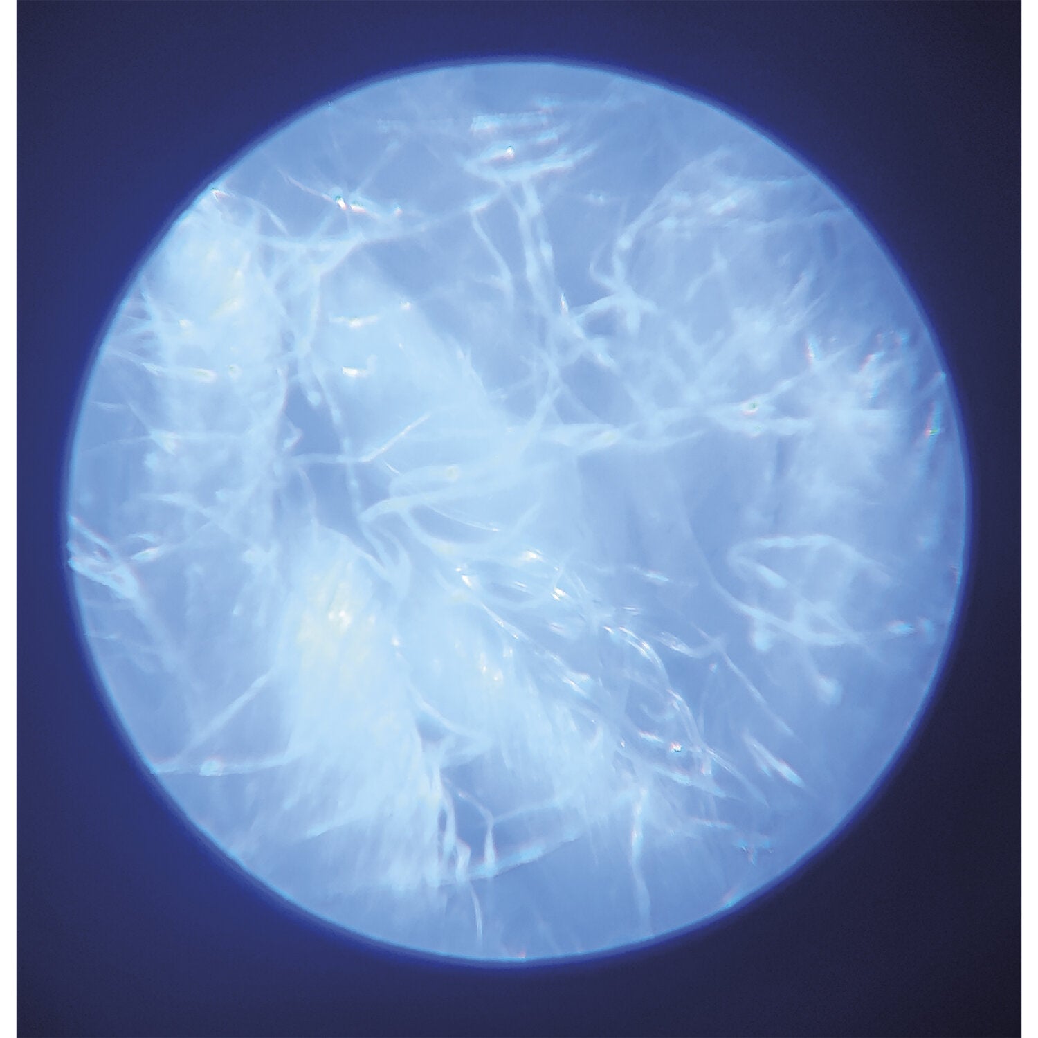 Microscope - Exploration