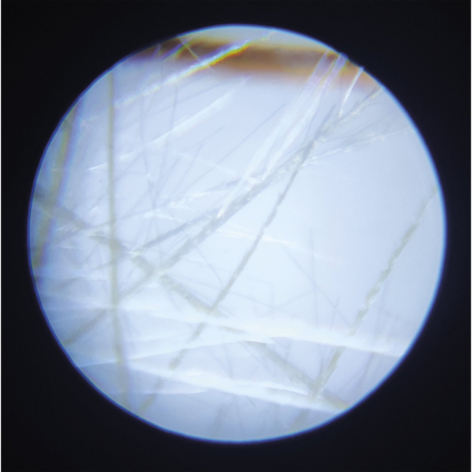 Microscope - Exploration