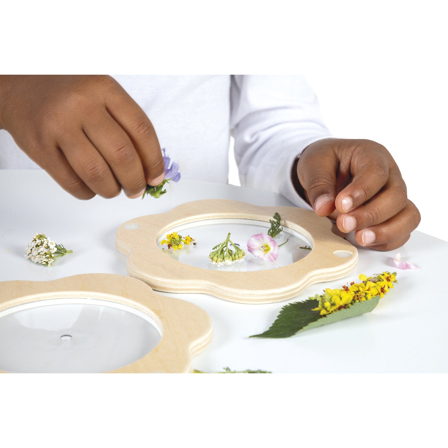 Kaleidoskop der Blumen – Erkundung