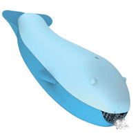 Kuji la Baleine