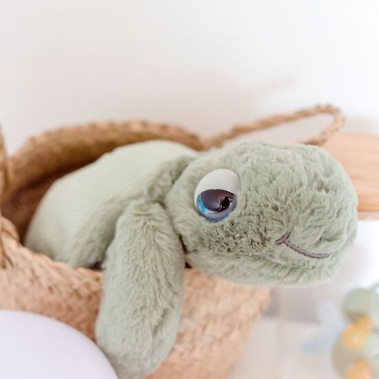 Peluche ultra douce tortue Sauge 33 cm - BB&Co