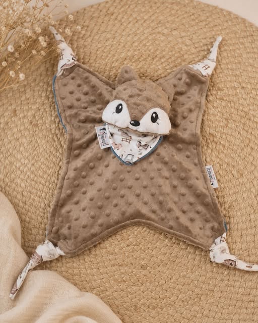 Doudou Raton Laveur