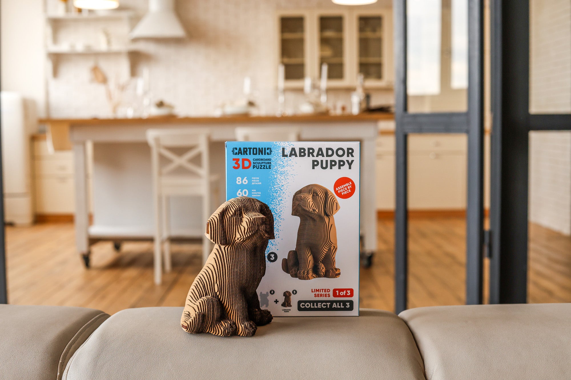 Chiot Labrador - Puzzle 3D Modèle en Carton