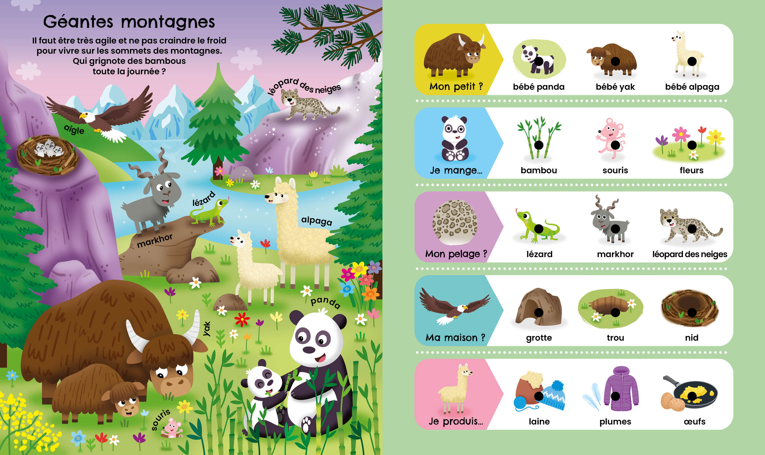 Bippy mon stylo interactif – Animaux