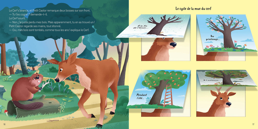 Petit Ludoc’ – Soulève les flaps : Les animaux de la forêt