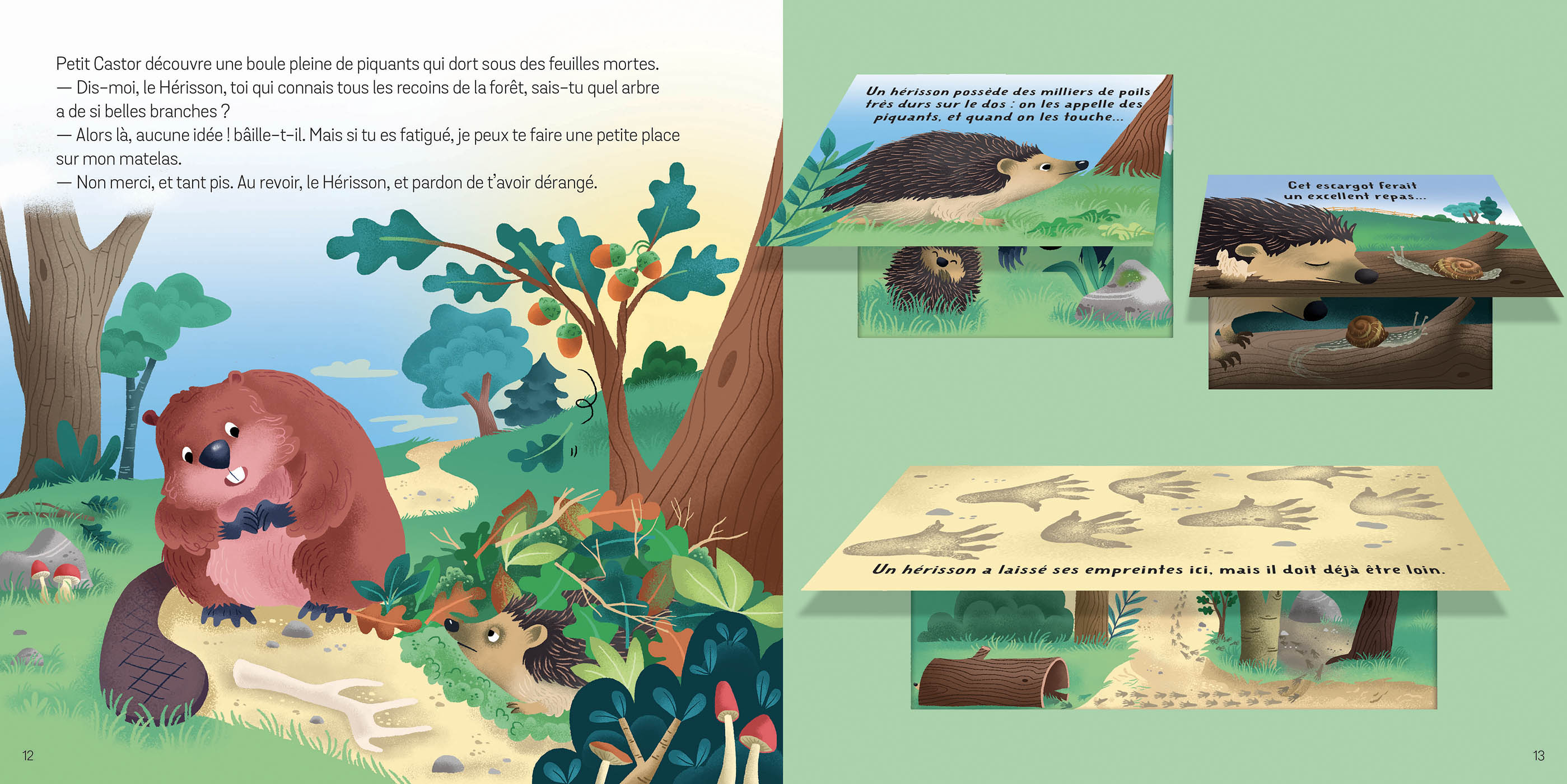Petit Ludoc’ – Soulève les flaps : Les animaux de la forêt
