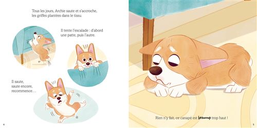 Archie - Petit corgi, grand défi