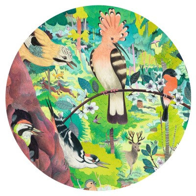 Puzzle - Owls and birds - 1000pcs