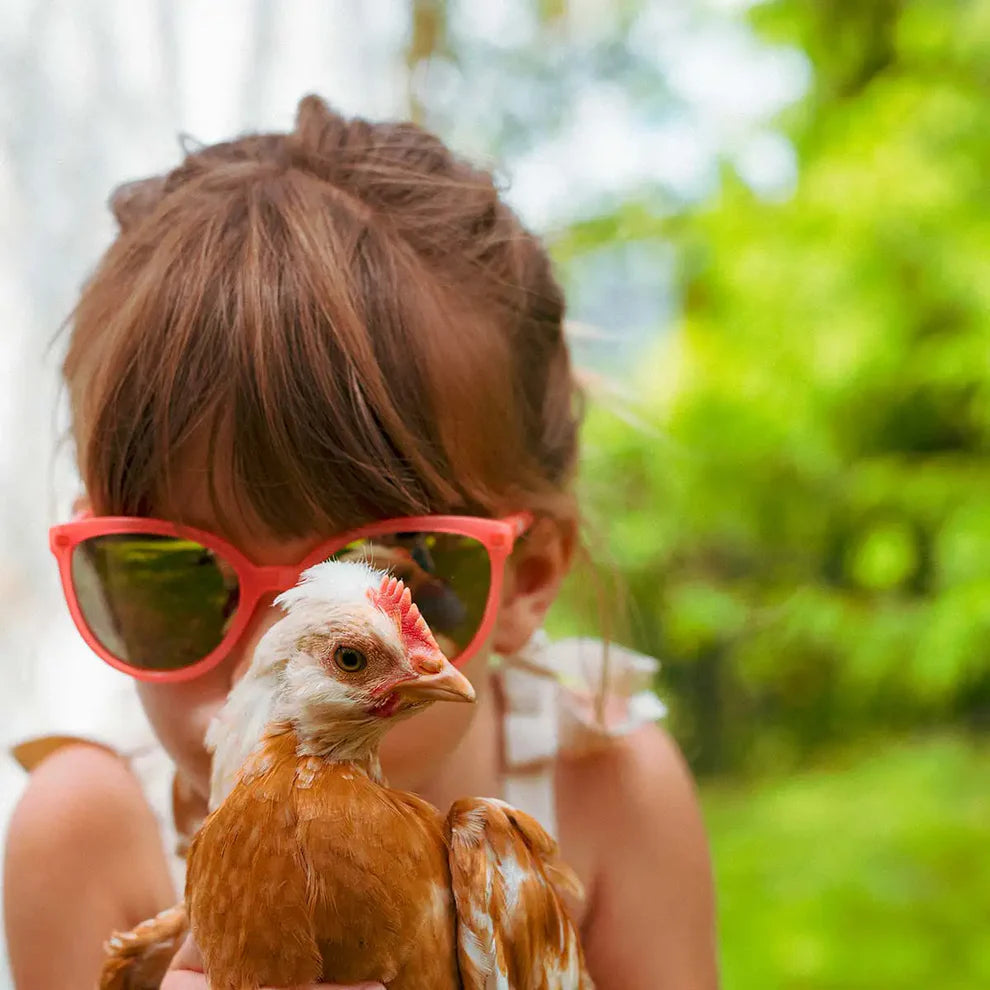 Lunettes de soleil BUZZ – Néon