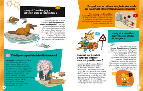 Dis Pourquoi ? C’est pas sorcier ! – Questions-réponses 7-10 ans