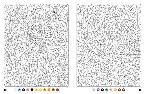 Coloriages Magiques Disney – Mystères (7+) – Le roi lion