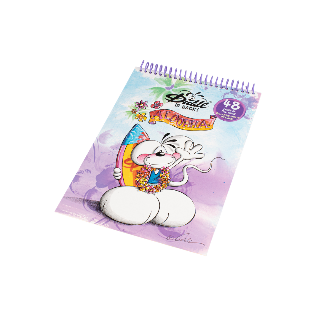 Cahier de Coloriages A4 Diddl