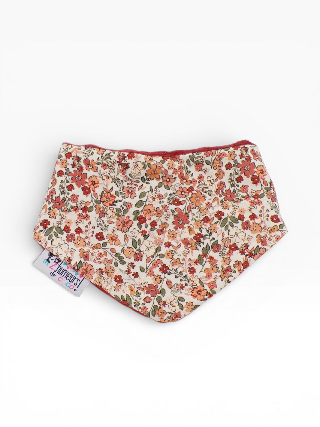 Bandanas (Hiver)