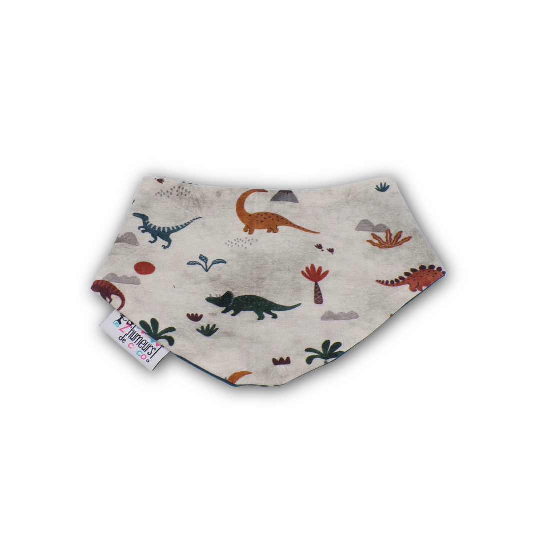 Bandanas (Printemps)