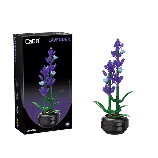 Lavande en briques de construction – Plant Lavender - CaDA