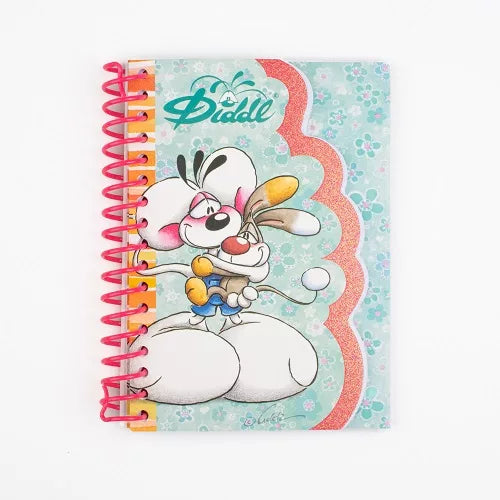 Carnet Forme Diddl A6