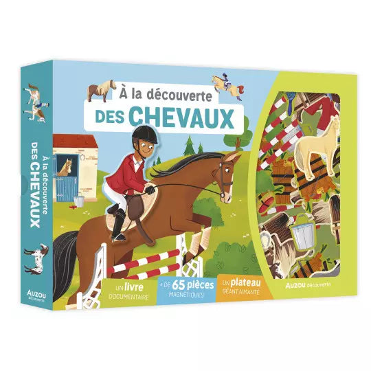 À la découverte des chevaux