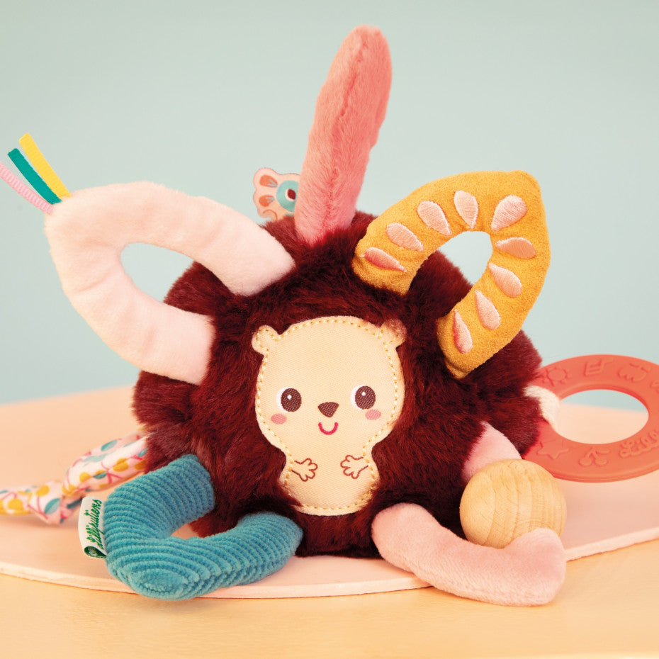 Anneaux sensoriels Léon le hérisson