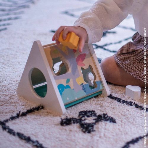 Boîte à Formes Pure (bois)