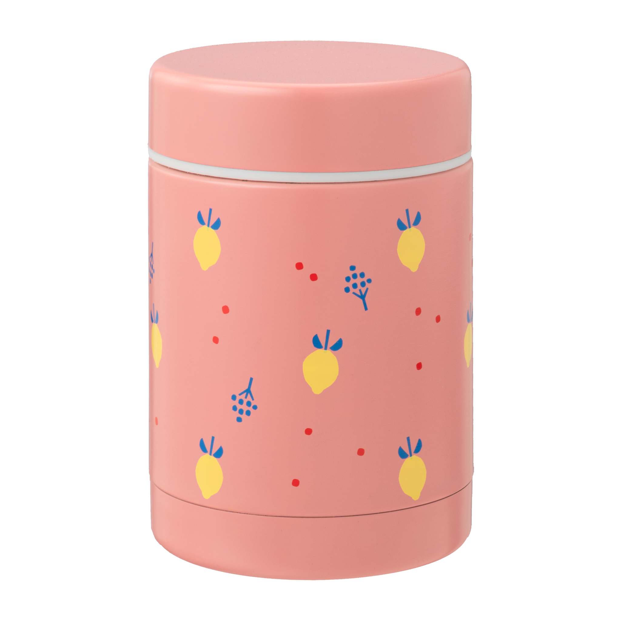 Thermo repas 300 ml Citron - Fresk