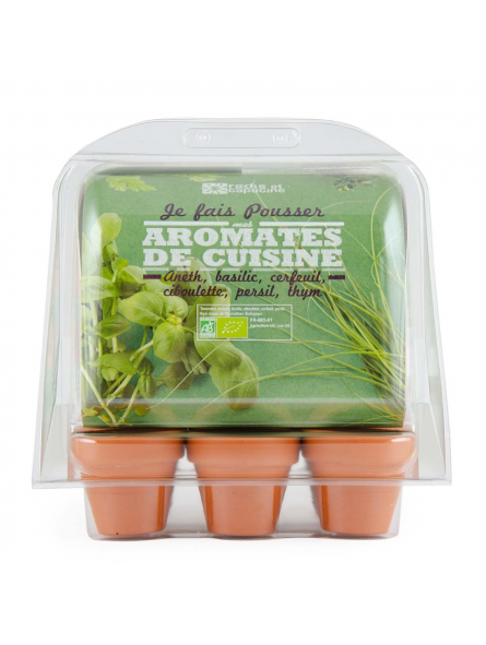 Je fais pousser mes aromates de cuisine - Mini Serre en plastique recyclé