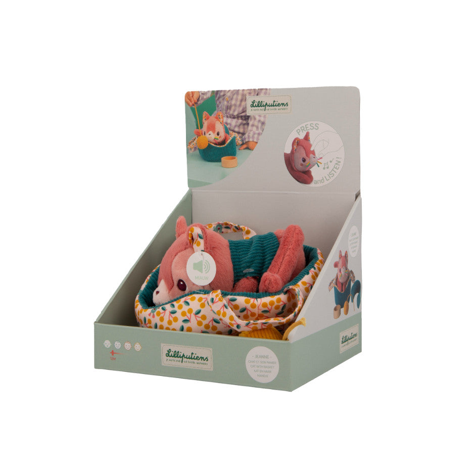 Jeanne le chat et son panier