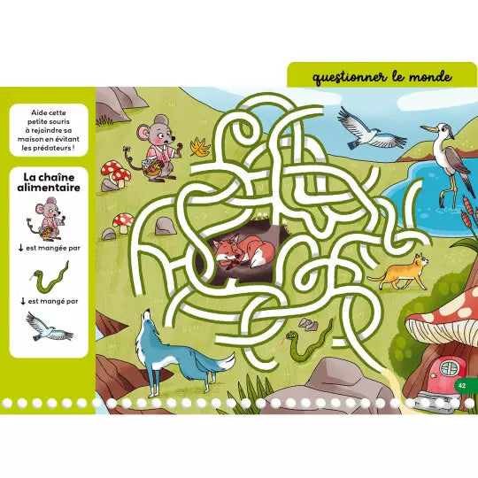 Mes jeux effaçables de 1re primaire