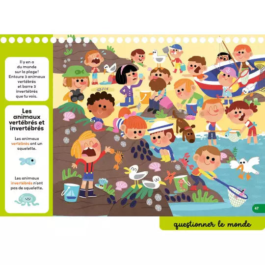 Mes jeux effaçables de 2e primaire