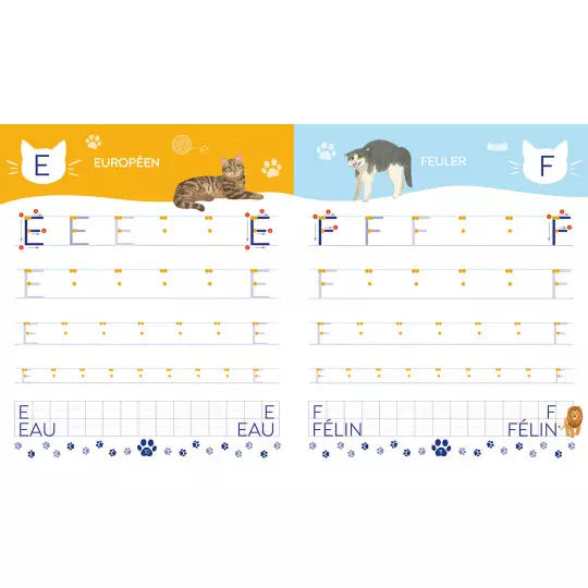 Mon cahier d'écriture "lettre à bâtons"