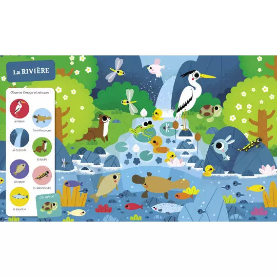 Cherche et trouve des tout-petits - Tous à l'eau