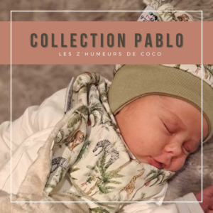 Collection Pablo